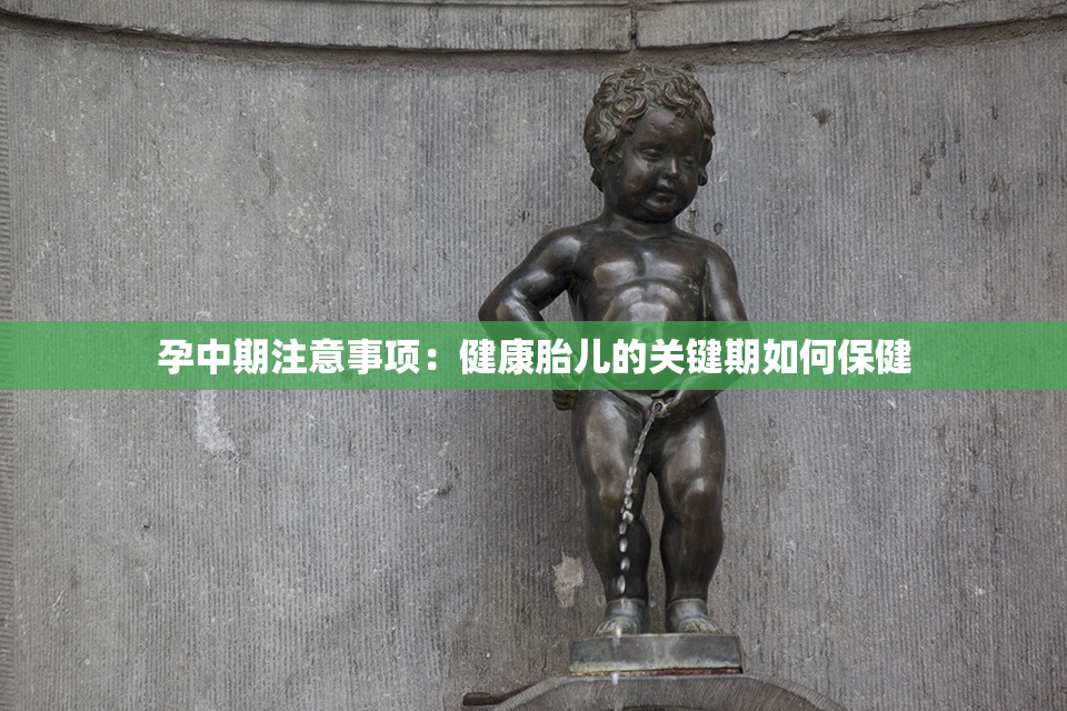 孕中期注意事项：健康胎儿的关键期如何保健