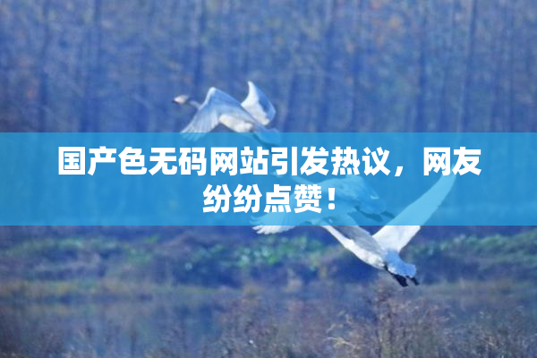 国产色无码网站引发热议，网友纷纷点赞！