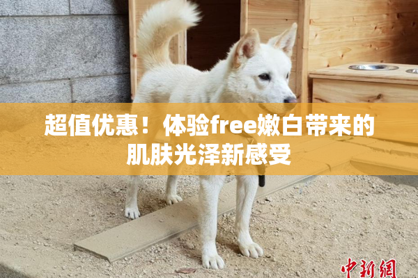超值优惠！体验free嫩白带来的肌肤光泽新感受