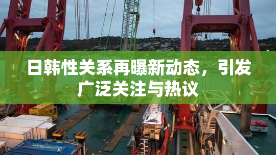日韩性关系再曝新动态，引发广泛关注与热议