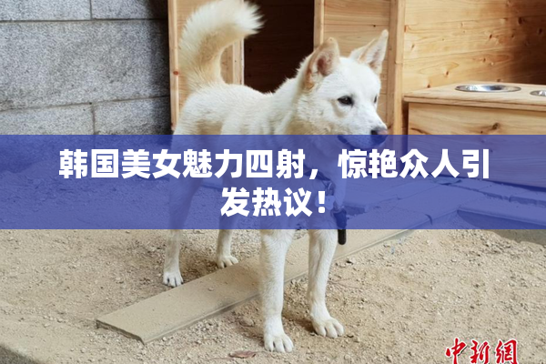 韩国美女魅力四射，惊艳众人引发热议！