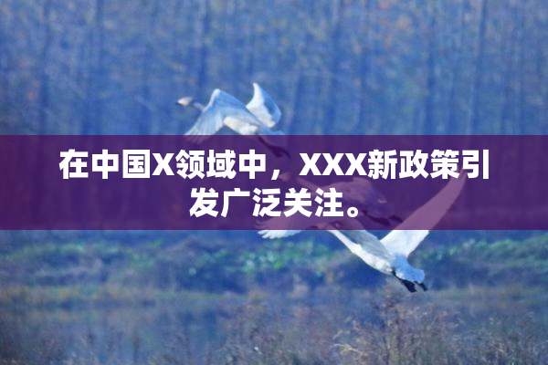 在中国X领域中，XXX新政策引发广泛关注。