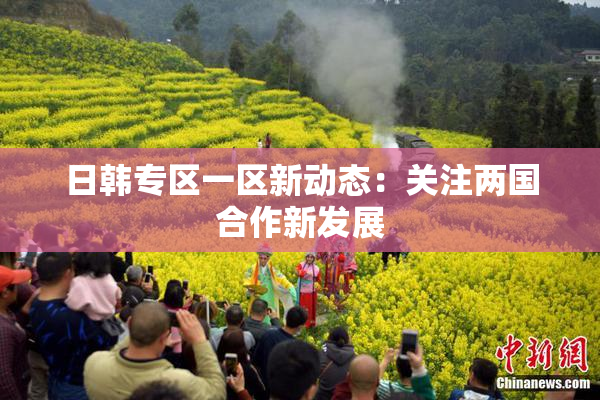 日韩专区一区新动态：关注两国合作新发展