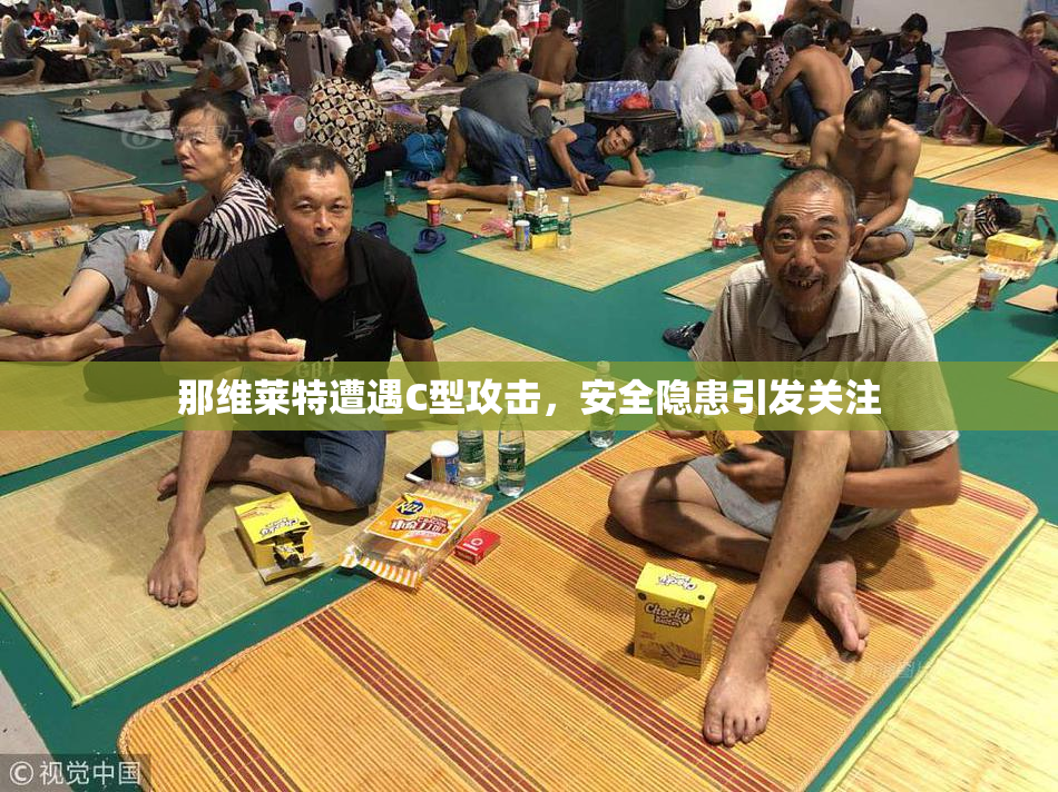 那维莱特遭遇C型攻击，安全隐患引发关注