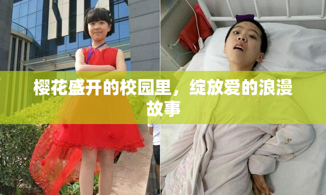 樱花盛开的校园里，绽放爱的浪漫故事