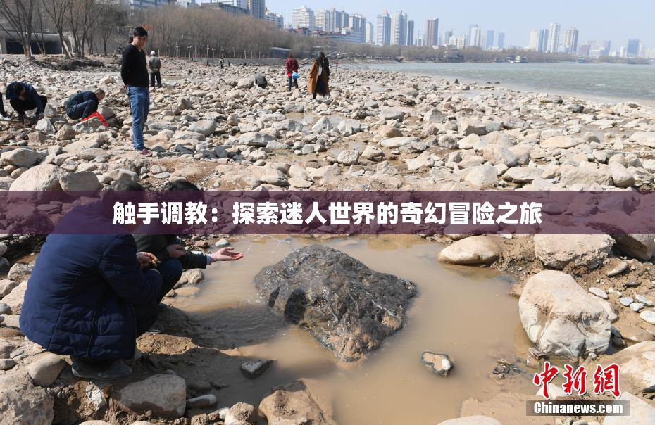 触手调教：探索迷人世界的奇幻冒险之旅