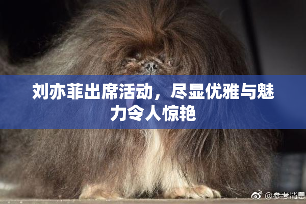 刘亦菲出席活动，尽显优雅与魅力令人惊艳