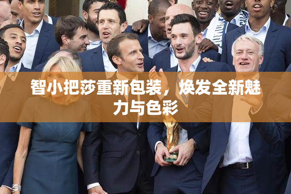 智小把莎重新包装，焕发全新魅力与色彩
