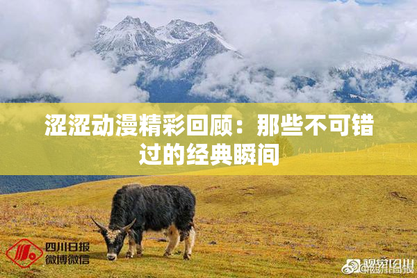 涩涩动漫精彩回顾：那些不可错过的经典瞬间