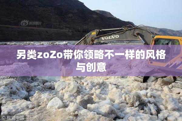 另类zoZo带你领略不一样的风格与创意