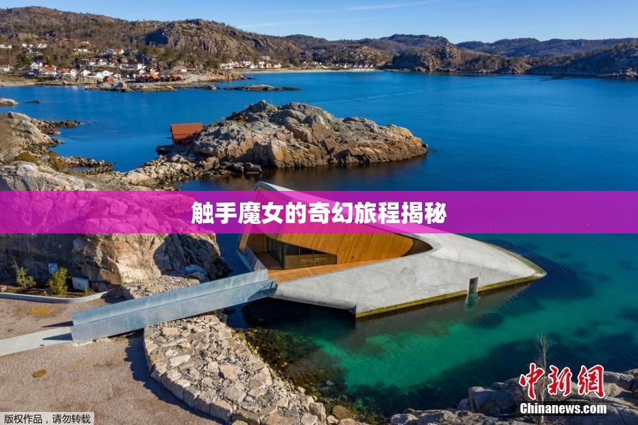 触手魔女的奇幻旅程揭秘