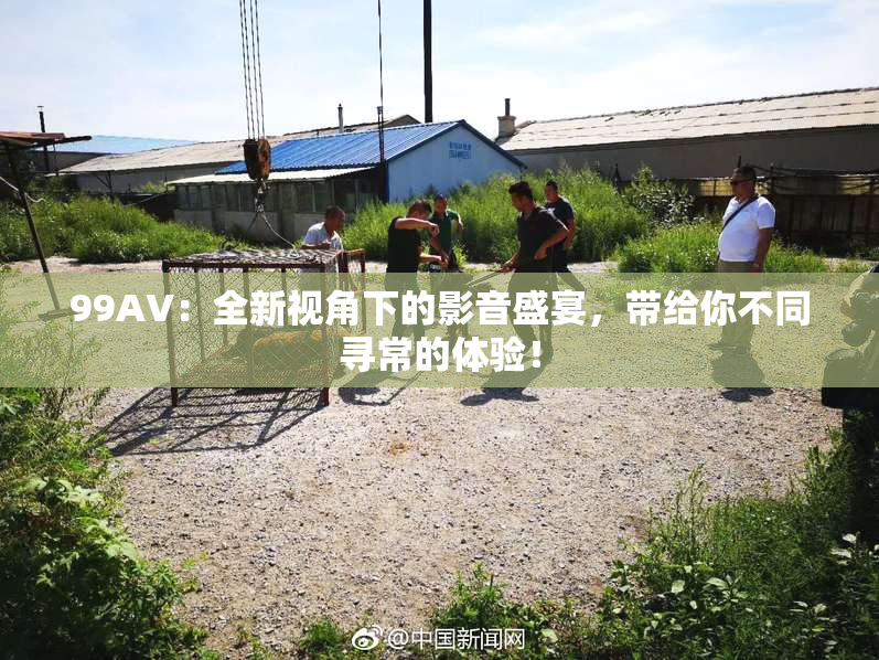 99AV：全新视角下的影音盛宴，带给你不同寻常的体验！