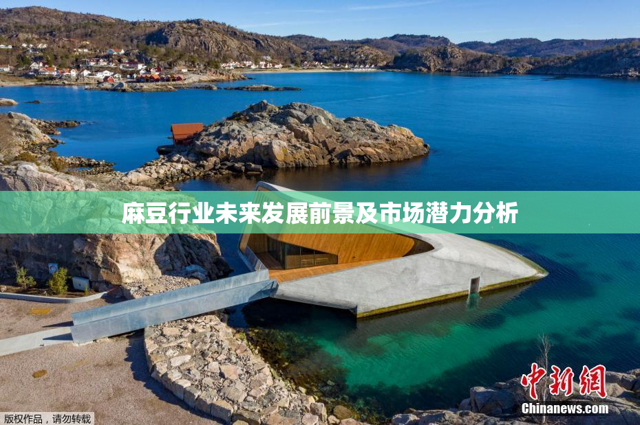 麻豆行业未来发展前景及市场潜力分析
