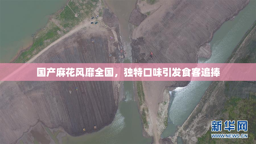 国产麻花风靡全国，独特口味引发食客追捧
