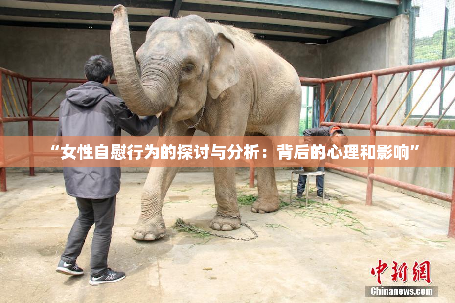 “女性自慰行为的探讨与分析：背后的心理和影响”