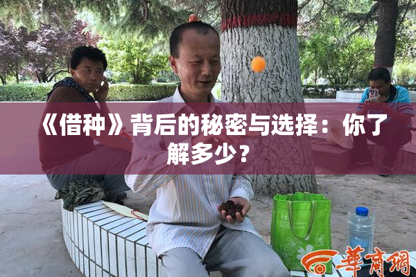 《借种》背后的秘密与选择：你了解多少？