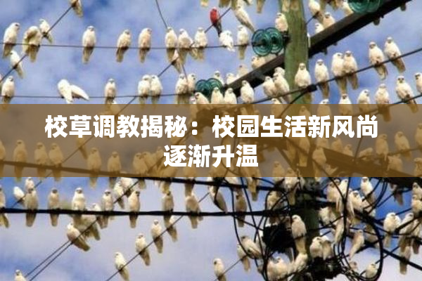 校草调教揭秘：校园生活新风尚逐渐升温