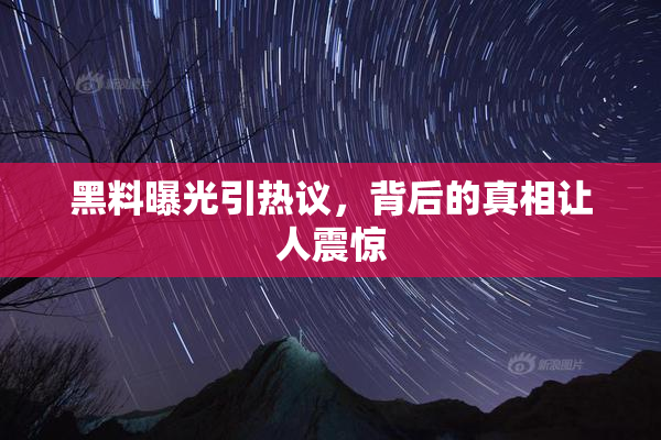 黑料曝光引热议，背后的真相让人震惊