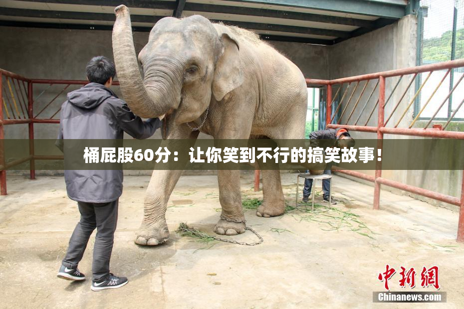桶屁股60分：让你笑到不行的搞笑故事！