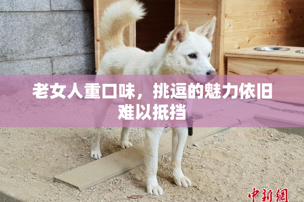 老女人重口味，挑逗的魅力依旧难以抵挡