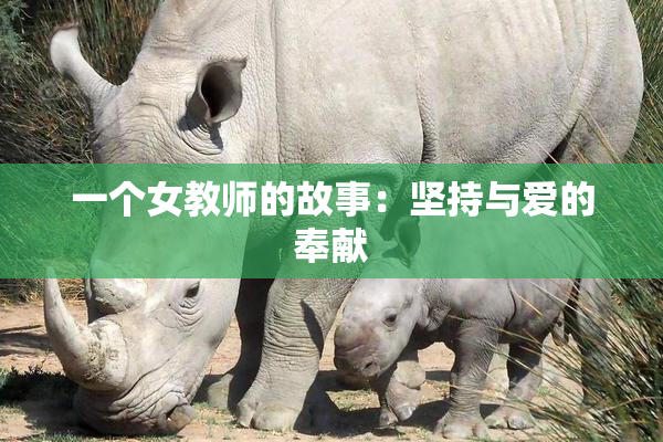 一个女教师的故事：坚持与爱的奉献