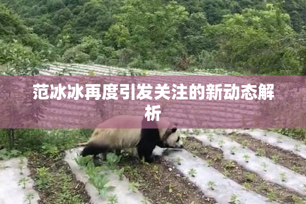 范冰冰再度引发关注的新动态解析