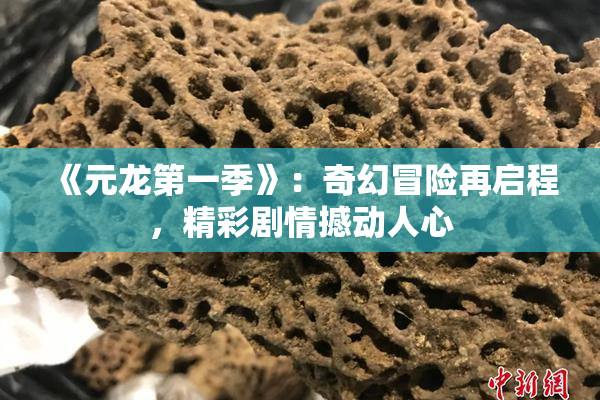 《元龙第一季》：奇幻冒险再启程，精彩剧情撼动人心