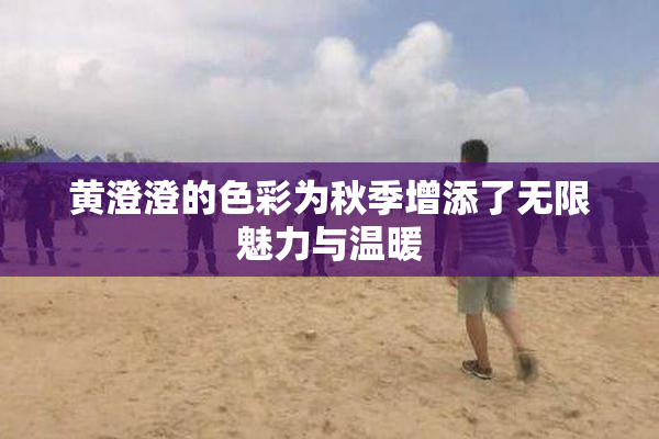 黄澄澄的色彩为秋季增添了无限魅力与温暖