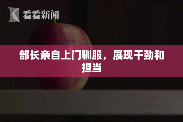 部长亲自上门驯服，展现干劲和担当