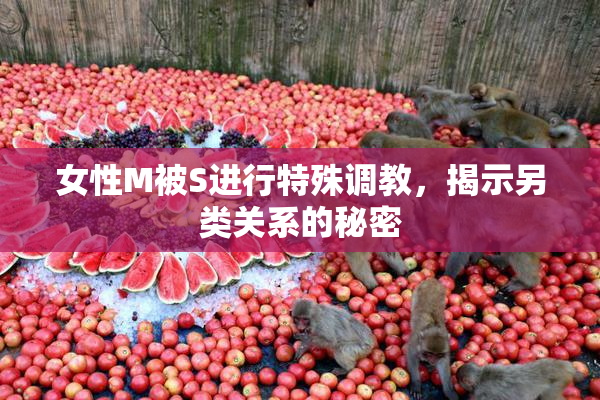 女性M被S进行特殊调教，揭示另类关系的秘密