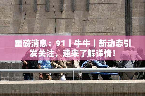 重磅消息：91丨牛牛丨新动态引发关注，速来了解详情！