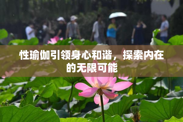 性瑜伽引领身心和谐，探索内在的无限可能