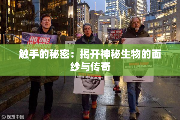 触手的秘密：揭开神秘生物的面纱与传奇