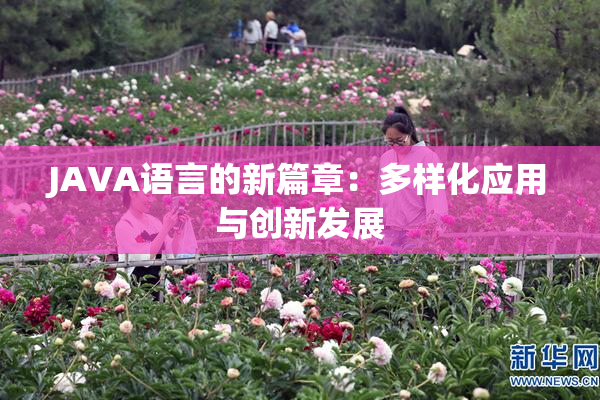 JAVA语言的新篇章：多样化应用与创新发展