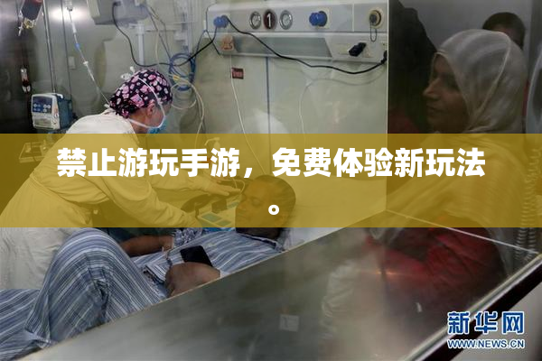 禁止游玩手游，免费体验新玩法。