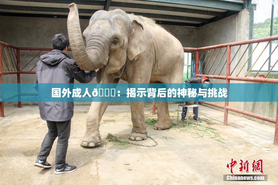 国外成人🔞：揭示背后的神秘与挑战