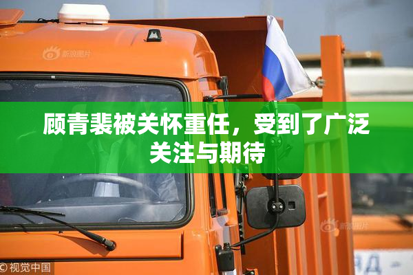 顾青裴被关怀重任，受到了广泛关注与期待