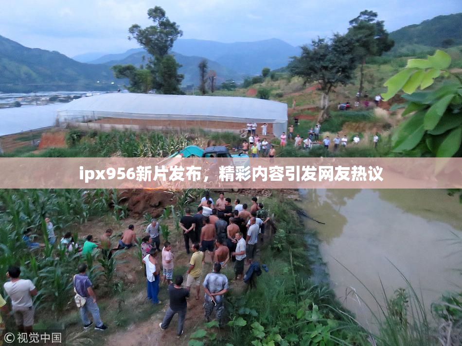 ipx956新片发布，精彩内容引发网友热议