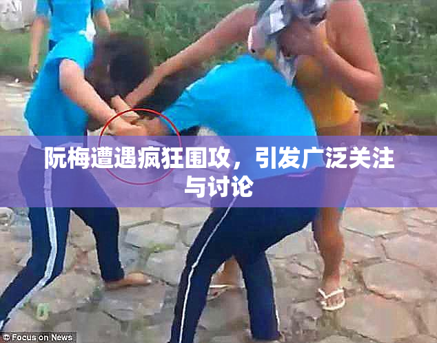 阮梅遭遇疯狂围攻，引发广泛关注与讨论