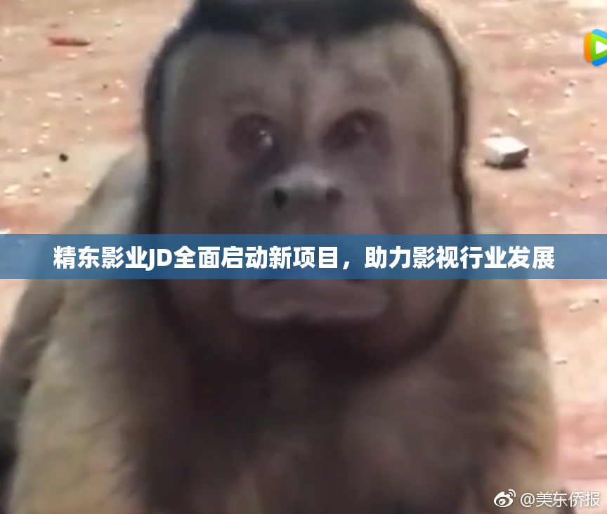 精东影业JD全面启动新项目，助力影视行业发展