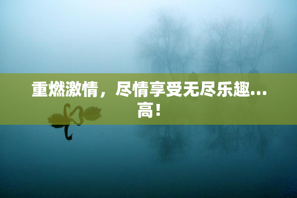 重燃激情，尽情享受无尽乐趣…高！