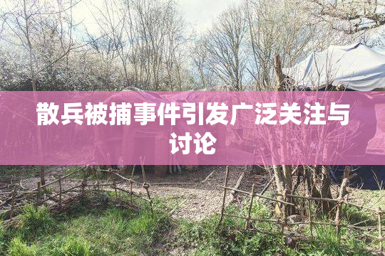 散兵被捕事件引发广泛关注与讨论