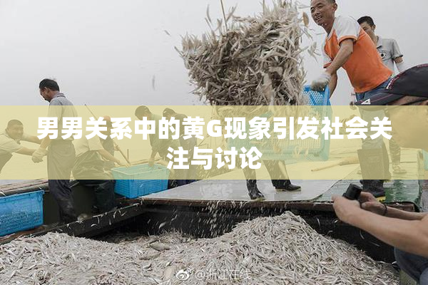 男男关系中的黄G现象引发社会关注与讨论