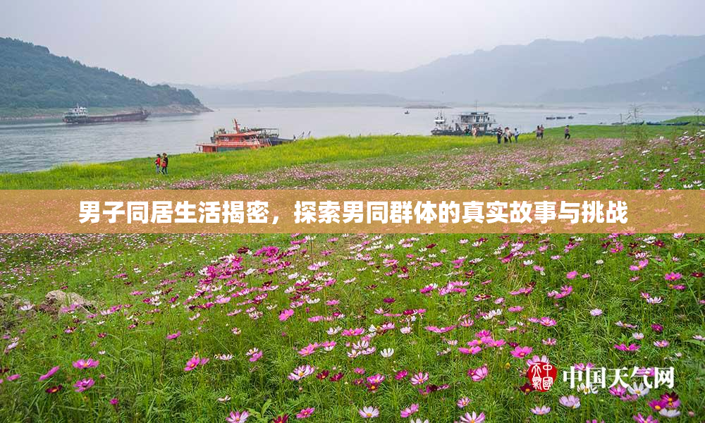 男子同居生活揭密，探索男同群体的真实故事与挑战