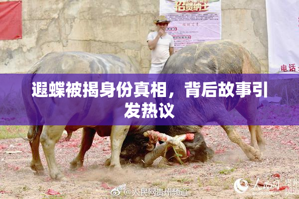 遐蝶被揭身份真相，背后故事引发热议