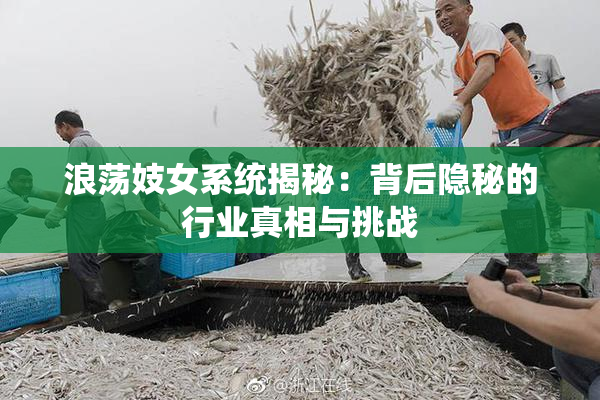 浪荡妓女系统揭秘：背后隐秘的行业真相与挑战