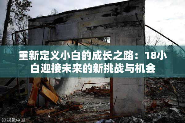 重新定义小白的成长之路：18小白迎接未来的新挑战与机会