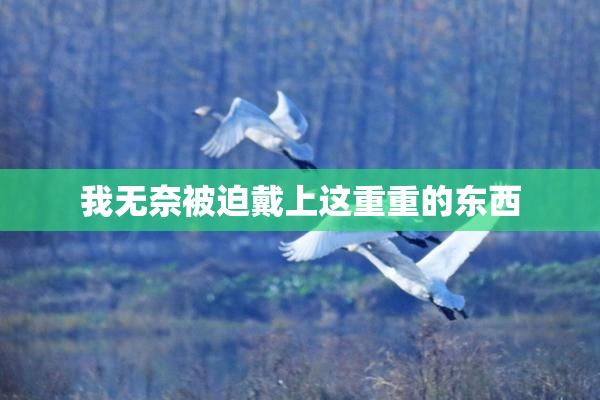 我无奈被迫戴上这重重的东西