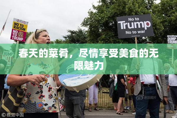 春天的菜肴，尽情享受美食的无限魅力