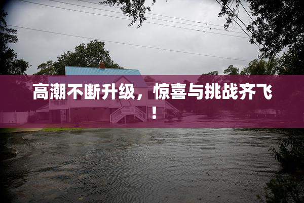 高潮不断升级，惊喜与挑战齐飞！